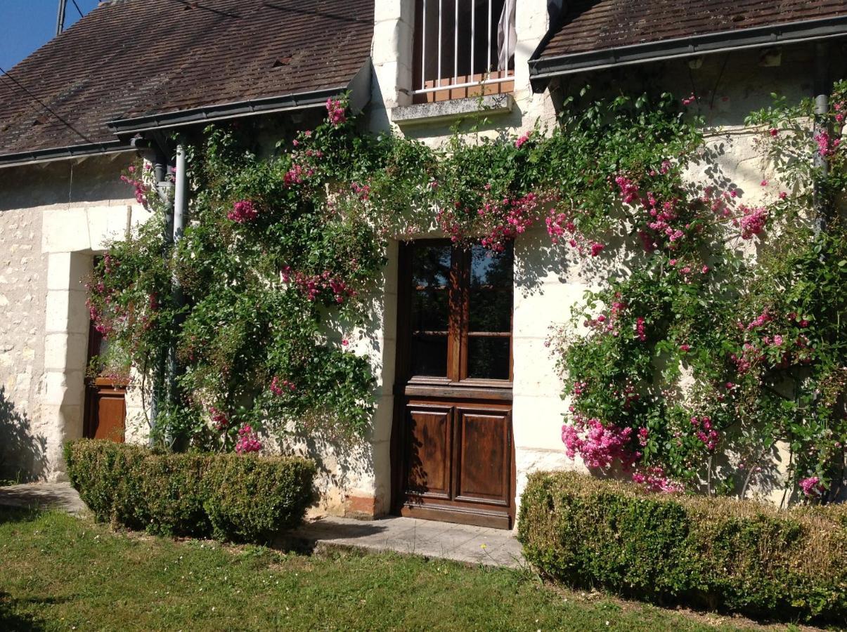 Gite O Beauval Saint-Aignan  Exterior foto