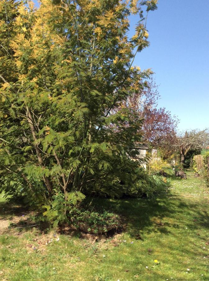 Gite O Beauval Saint-Aignan  Exterior foto